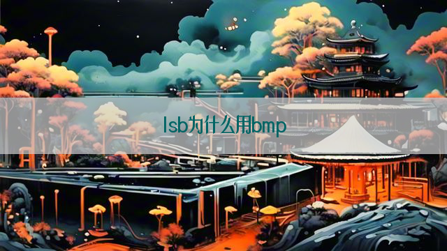 lsb为什么用bmp