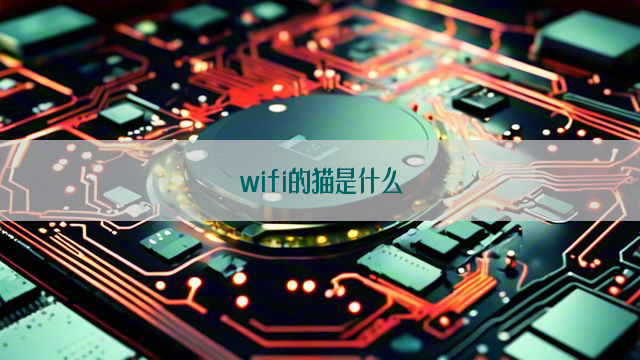 wifi的猫是什么