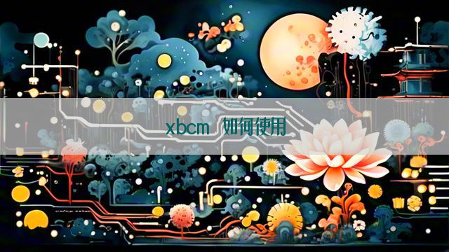 xbcm 如何使用