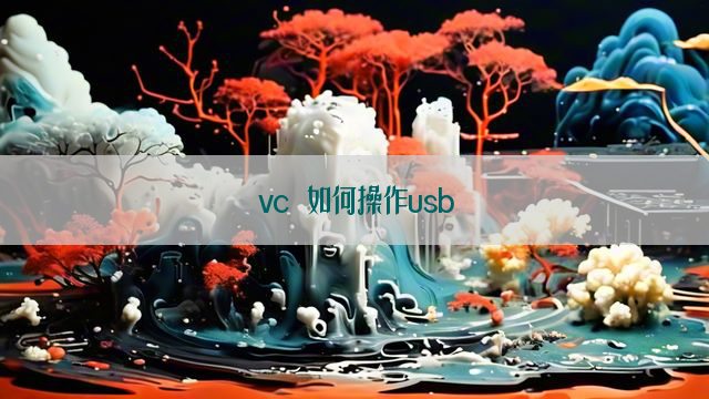 vc 如何操作usb