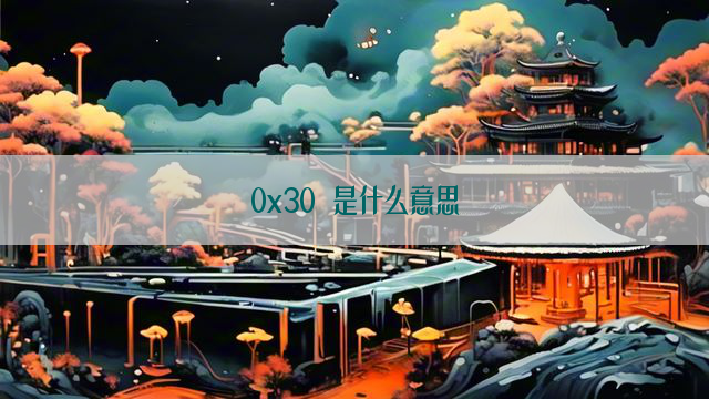 0x30 是什么意思