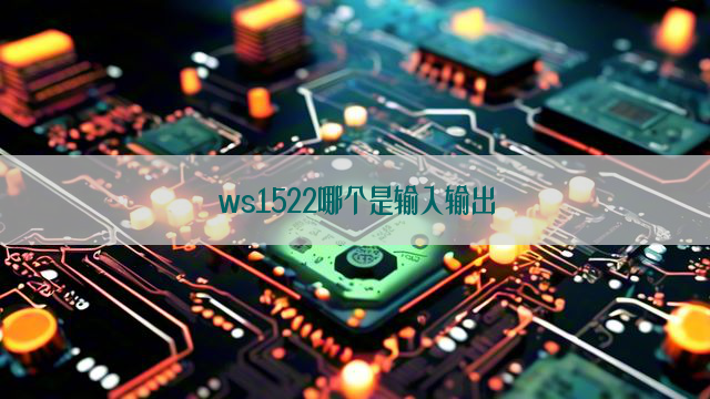 ws1522哪个是输入输出