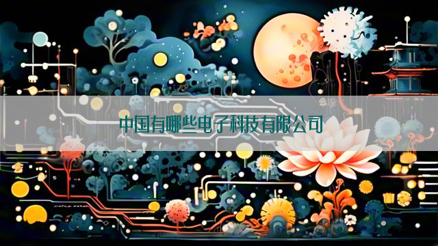 中国有哪些电子科技有限公司