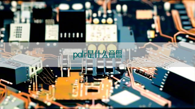 palr是什么意思