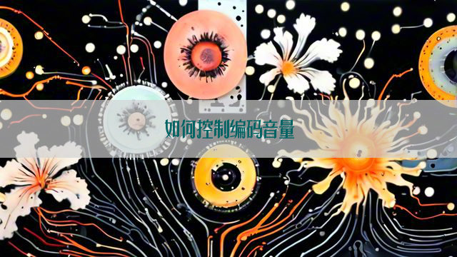 如何控制编码音量