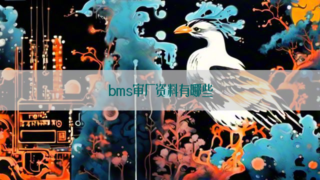 bms审厂资料有哪些